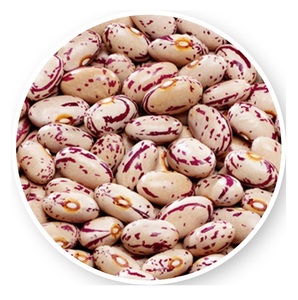 Hot Selling Price Light Red Kidney <b>Beans</b> Long Shape Brown Kidney <b>Beans</b> - Product Image 4