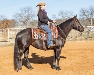 Redini in Pelle per Cavalli, Redini per Addestramento Equestre in Vera Pelle <span class=keywords><strong>al</strong></span> Miglior Prezzo - Product Image 6