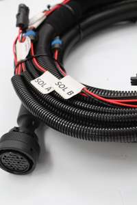 5580018468 Faisceau de câblage complet pour solénoïdes avec conduit de protection pour plateformes minières souterraines et unités industrielles - Product Image 5