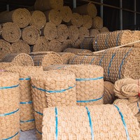 Tapis de porte extérieur épais en fibre de coco naturelle vietnamienne, non peint, brun uni, vente en gros