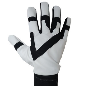 Professional Design Fashionable Customer Demand Unique Style Low Price <b>Top</b> Sale Your Own logo for Baseball Gloves Best Materials - Product Image 1