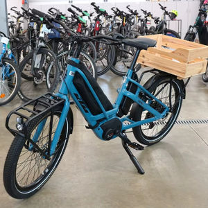Última Llegada 2025-2026 Bicicleta de Carga Eléctrica Multi Macina, Todos los Tamaños y Colores de Cuadro Disponibles para Exportación Mundial - Product Image 1