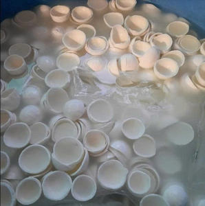IQF Vietnam Frozen Coconut Meat Pieces Natural Sweet Flavor Bulk for <b>Bakery</b> and Confectionery - Product Image 5