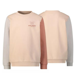 Polaire de haute qualité Logo personnalisé pull coton sweat poids lourd sweat à col rond hommes Capuchas Y Sudaderas De Mujer. - Product Image 4