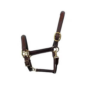 Un fournisseur indien propose un licou en cuir marron de style selle anglaise avec raccord de basse uni au design surélevé - Product Image 1