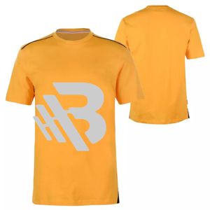 Camiseta de Manga Corta con Bordado Estilo Chino para Hombre, en Venta, para Adultos - Product Image 1