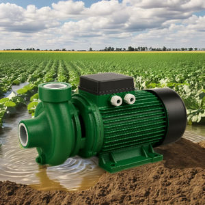 Flocon de neige 2DK-20 2 HP monophasé électrique basse pression pompe centrifuge laiton turbine bride connexion 1-1/2 décharge pour - Product Image 5