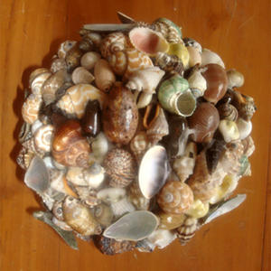 Seshell Ball SEASHELL JEWELRY 18 cm Natural Crafts Shell Ball Crafts Motif Mix <b>Mosaic</b> - Product Image 3