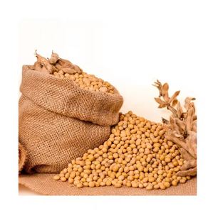 Frijoles de soja orgánicos de alta calidad Frijoles de soja secos naturales Embalados a granel para venta al por mayor - Product Image 4