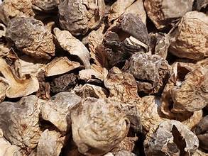 ฉลากที่สะอาดเห็ดฟางตากแห้งพืชที่มีพื้นฐานมาจากความดี - Product Image 4