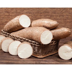 Fourniture de manioc frais en vrac à texture riche en manioc frais à haute teneur en amidon 100%, idéale pour le marché de la transformation à grande échelle - Product Image 3