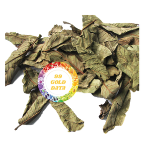 ใบฝรั่งอบแห้งจากเวียดนาม - Product Image 1