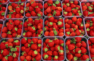 Fresas y Bayas Frescas Naturales y Saludables, Provenientes de Granjas, a Precios Competitivos, en Venta - Product Image 3