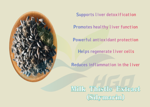 HGO Factory Direct Supply of Pure Natural Milk Thistle <b>Extract</b> (Food Grade) Specification Silymarin 40% (Standardized <b>Extract</b>) - Product Image 5