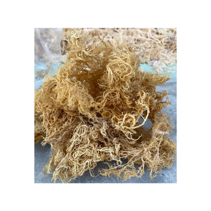 Algues marines séchées jaunes, algues Eucheuma, algues irlandaises, algues marines du Vietnam, quantité en vrac d'origine, en stock, disponibles à l'exportation - Product Image 1
