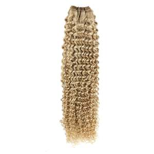 Extensions de cheveux Remy indiens de type Temple 3C # Blond Platine Bronze 27/60, 8-36 pouces, Donneur Unique - Product Image 1
