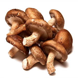 Hongo Shiitake Seco al por Mayor del Delta de Vietnam |   Listo para Exportar - Product Image 1