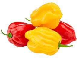 Proveedor Mayorista de Pimiento Amarillo Habanero Picante Fresco, Calidad Premium, 25 kg, 99% Maduro, Tamaño 2 cm, Origen UE, 18 Meses de Duración - Product Image 6