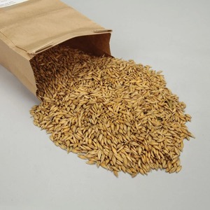 Grains d'orge de qualité supérieure, graines d'orge, aliments pour animaux, grains d'orge en vrac, malt malté - Product Image 1