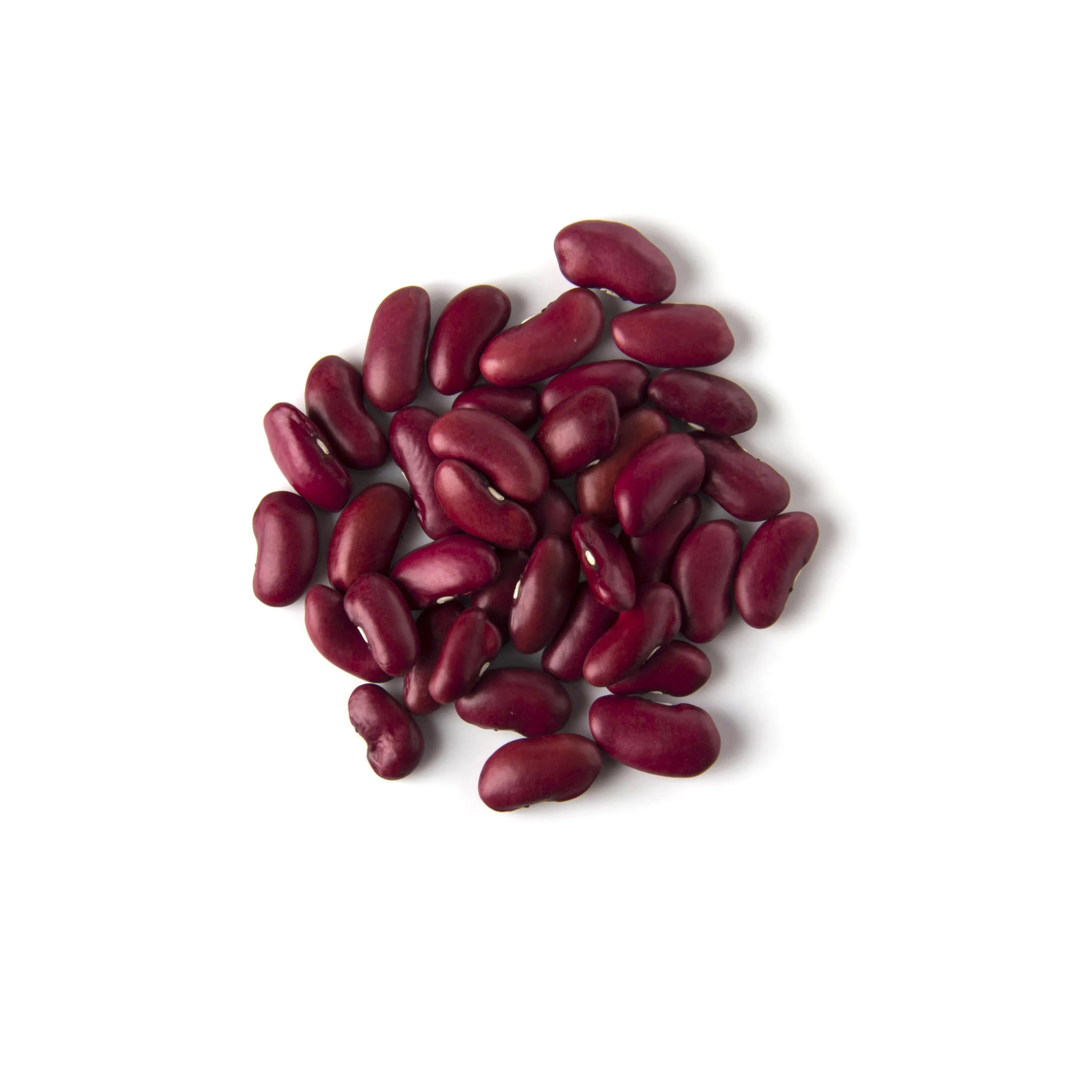 도매 공급 업체 붉은 신장 콩 판매에 대 한 저렴한 가격 붉은 신장 콩 100% 유기농 건조 신장 콩