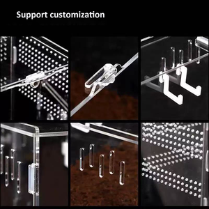 Nuovo solido verticale in acrilico rettile traspirante gabbia di allevamento per <span class=keywords><strong>Zoo</strong></span> mostra accessori per rettili - Product Image 6
