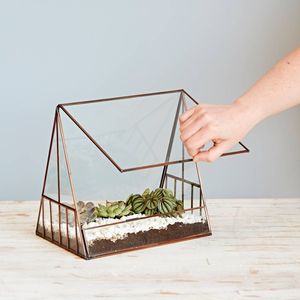 Terrarium en métal ouvert pour un accès facile aux plantes et un arrosage facile adapté à la décoration intérieure. - Product Image 6