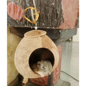 Nichoir pour oiseaux en coque de noix de coco de qualité supérieure, durable, naturel et écologique, maison pour hamster, écureuil, perroquet /+84 865 912 655 Liam - Product Image 3