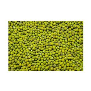 Suministro de fábrica a granel precio al por mayor de calidad superior Green Mung Beans / Whole Moong Beans disponibles para la venta - Product Image 2