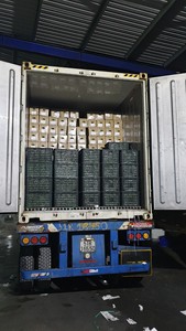 IQF CONGELADO SIN SEMILLAS LIMA VERDE LIMA SIN SEMILLAS MOQ 1 CONT 20FT DE LOTO AZUL VIETNAM 2025 - Product Image 6