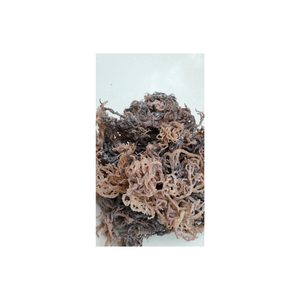 สมูทตี้หนาแน่นการอบอาหารแบบหนาแน่นส่วนผสมสาหร่ายจากธรรมชาติที่เก็บเกี่ยวได้จากป่า - Product Image 1