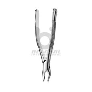 Fórceps de retención apical Instrumento de extracción dental profesional Fórceps de retención apical Fórceps de acero inoxidable de alta calidad - Product Image 2