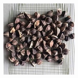 สารสกัดจากเมล็ดมะรุมธรรมชาติบริสุทธิ์ผลิตภัณฑ์ทางการเกษตร - Product Image 4