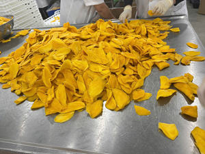 Wholesale Exporter Premium Natural Bulk Dried Mango <b>Sweet</b> Dehydrated Fruit 100% Mango Supply High <b>Quality</b> Delicious Taste - Product Image 3