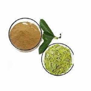 Poudre d'extrait de feuille de Senna Alexandrina cultivée sauvage Supplément à base de plantes de feuille d'ortie de qualité alimentaire 1 Kg Tambour HPLC 24 mois de conservation