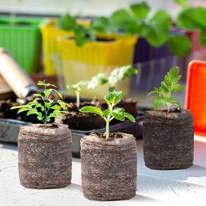 Vente directe d'usine de granulés de tourbe de Coco/tourbe de Coco prix bon marché et 100% fibre de coco de haute qualité naturelle de Eco2go Vietnam - Product Image 4