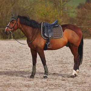 Tapis de selle de cheval en mousse de satin doux avec conception matelassée antidérapante pour une équitation stable OEM ODM disponible - Product Image 3
