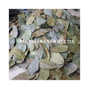 ใบทุเรียนเทศแห้ง/กราวิโอลาจากเวียดนาม - Product Image 3