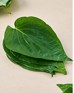 Hojas de Betel a Granel para Exportación - Product Image 6
