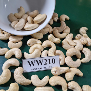 Prêt à expédier SANTIGO Noix et amandes Noix de cajou sèches Kaju WW210 Emballage OEM, ODM - Product Image 1