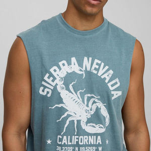 Nueva Llegada, Camiseta sin Mangas Personalizada para Hombre, Algodón/Poliéster Transpirable de Alta Calidad, Servicio OEM, MOQ Bajo, Nuevo Diseño Impreso para Venta en Línea - Product Image 4