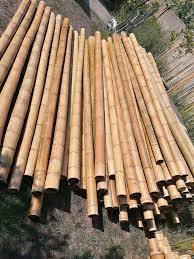 เสาไม้ไผ่ขนาดใหญ่100มม. X 3ม. สำหรับสวนเสาไม้ไผ่ขนาดใหญ่ - Product Image 3