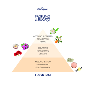 Blu Home 250 ml (Boîte de 24 pièces) Désodorisants à l'essence de fleurs, spray parfumé, diffuseur de parfum pour la pièce et les tissus - Product Image 2