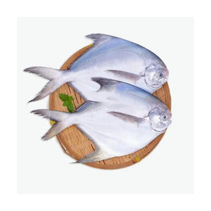 เนื้อปลานิลไร้หนัง ปลาทั้งตัว ซื้ออาหารทะเลปริมาณมาก พร้อมการตรวจสอบคุณภาพอย่างเข้มงวดสำหรับผู้นำเข้า - Product Image 2