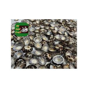 เปลือกหอยธรรมชาติขัดเงาจากเปลือกหอยทะเลจากเวียดนามสำหรับตกแต่งงานหัตถกรรมและขายส่ง - Product Image 2