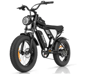 성인용 전기 자전거, 1000W, 25/30MPH,48V,20/15AH 배터리, 최대 50-75 마일 전기 오토바이, 20 "팻 타이어 먼지 자전거