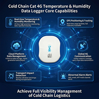 Capteur de température et d'humidité IoT 4G avec enregistreur de données, traceur GPS rechargeable par USB, thermomètre, moniteur SIM, indice de protection IP66, pour chaîne du froid