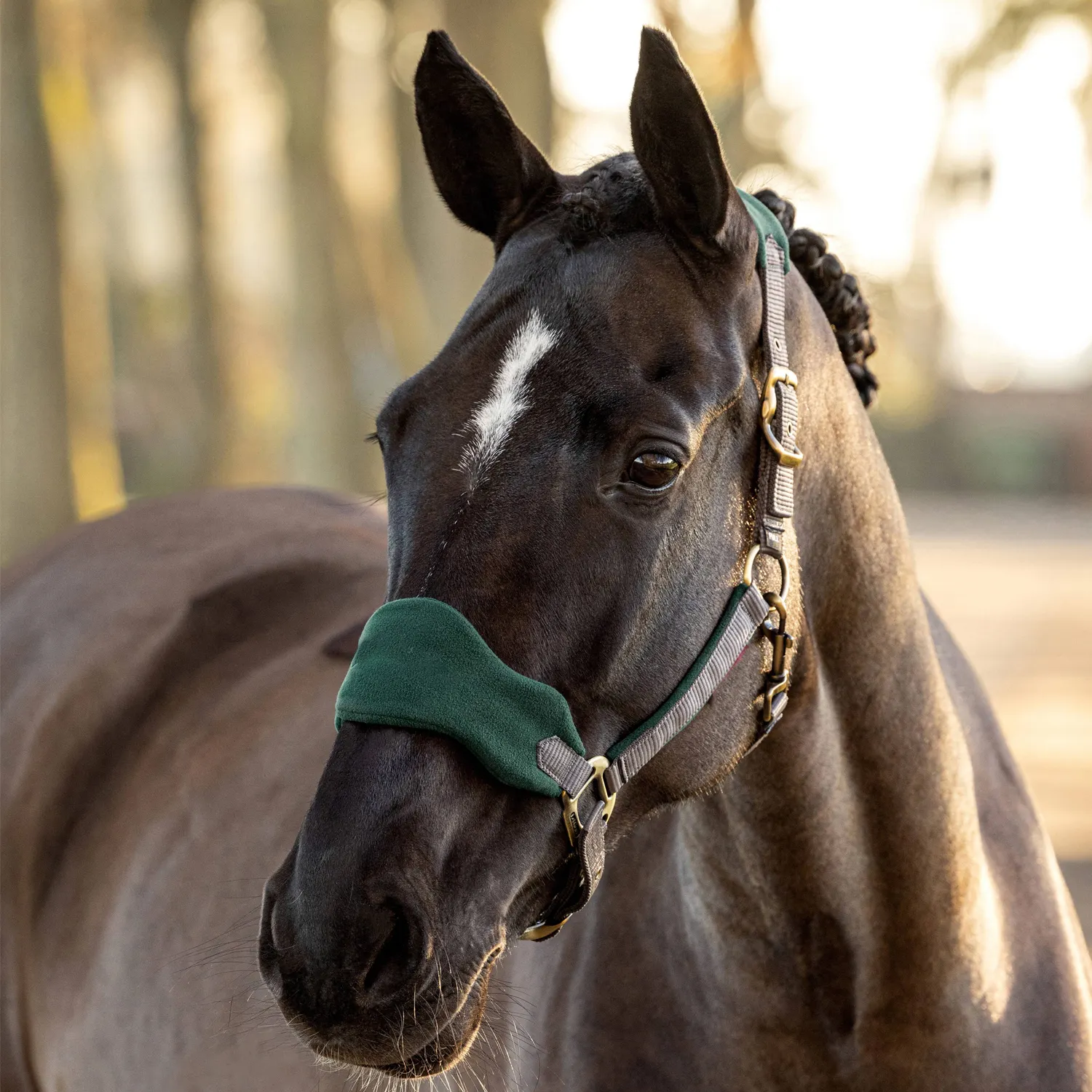 Outdoor Sports Equestrian Equipment Equitação Produtos Equine Fornecedor Plain acolchoado cavalo cabeça colarinho Halters com corda