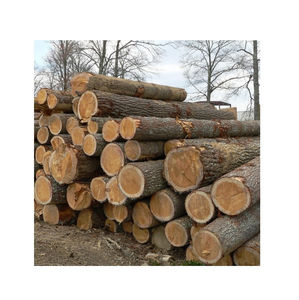 Troncos de Álamo al por Mayor con Distribución de Diámetro Optimizada para la Fabricación de Chapa y Madera por Corte Rotatorio, Mercados de Exportación Globales - Product Image 2