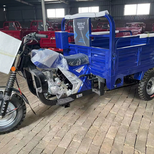 Tricycle cargo à carrosserie ouverte avec moteur 200cc, puissant, à <span class=keywords><strong>essence</strong></span>, 3 roues, moto-tricycle pour passagers - Product Image 1