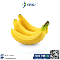 Herbojit International Betrouwbare Leverancier Verse Bananen Super Grade 20kg Kartons Gemaakt in India 40 Dagen Houdbaarheid Heerlijk Fruit